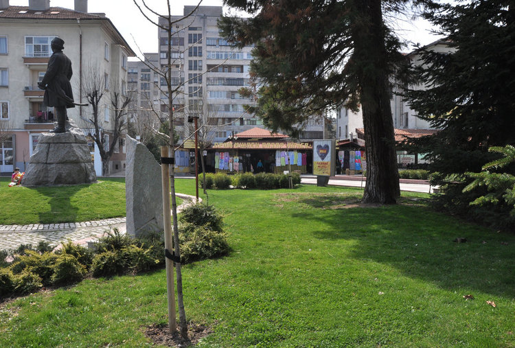 Хасковлии: Общината да се погрижи за бездомните кучета в града