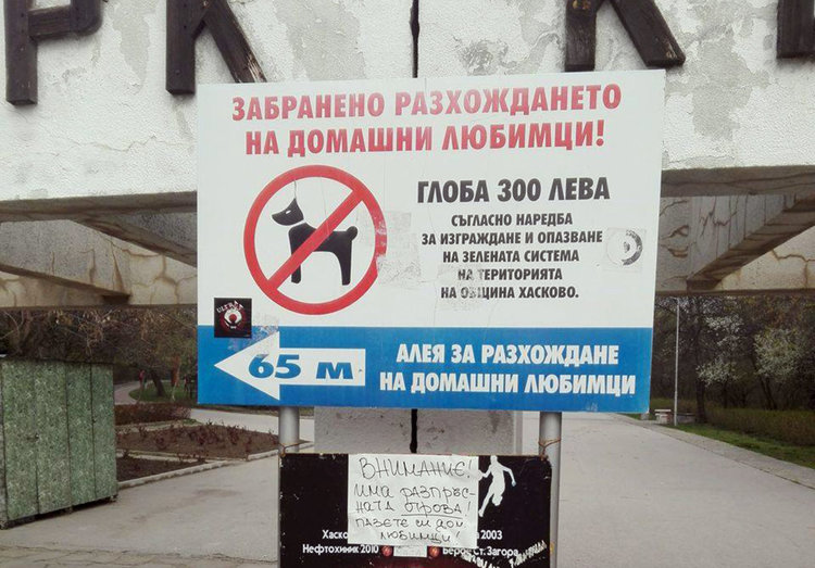 Хасковлии: Общината да се погрижи за бездомните кучета в града