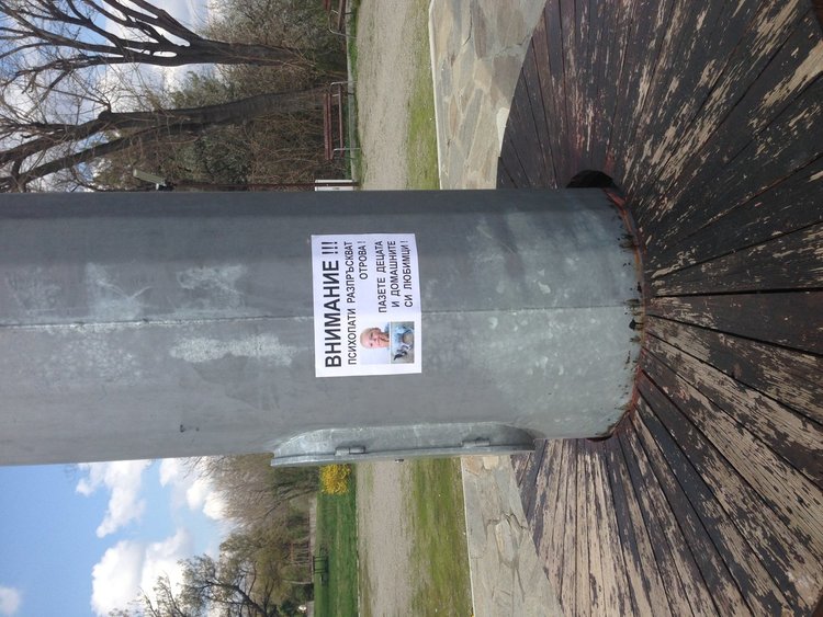 Хасковлии: Общината да се погрижи за бездомните кучета в града