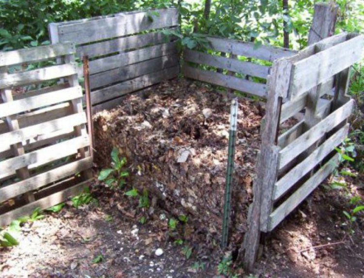 Да участваме в изграждането на компостираща система предлага кметът