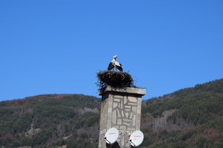 Сваляйте мартениците,щъркелите дойдоха