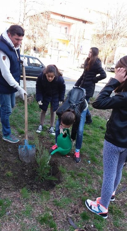 Паисиевци с грижа към природата,засаждат редки дървета