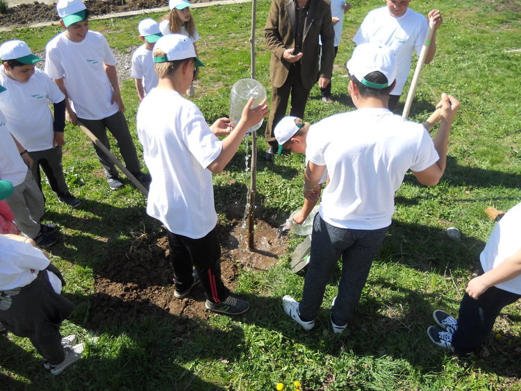 Децата от Буково станаха лесовъди за един ден