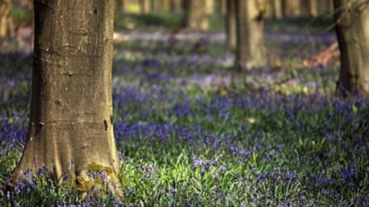 Сваляйте жилетките, слънцето покачва градусите днес до 21