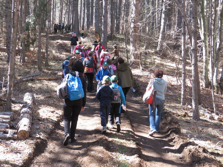 Деца, младежи и граждани станаха лесовъди за един ден 