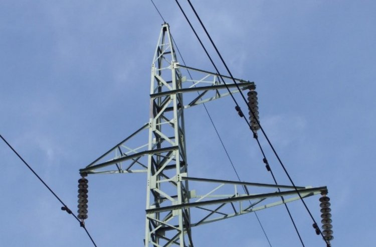 Дърво скъса жици на далекопровод, изясняват щетите