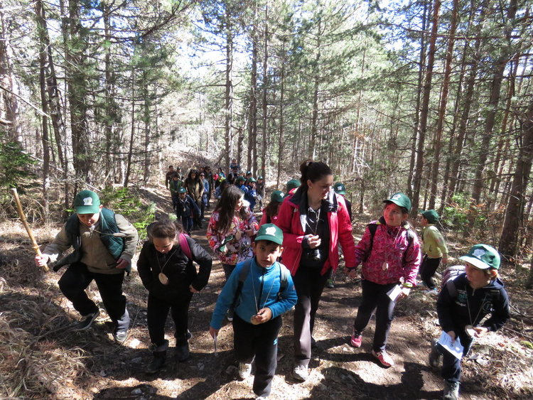 Деца, младежи и граждани станаха лесовъди за един ден 