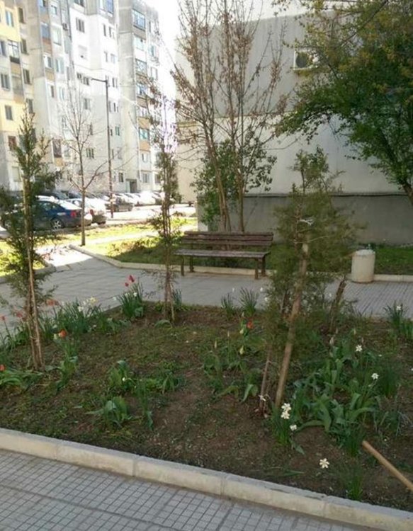 Живеещи на ул."Ем.Станев" се включиха в пролетното почистване на Димитровград