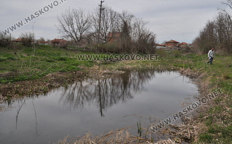 Злодей избива кучета в Книжовник, гърми в селото