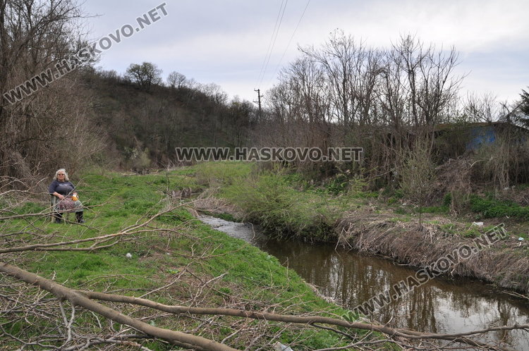 Злодей избива кучета в Книжовник, гърми в селото