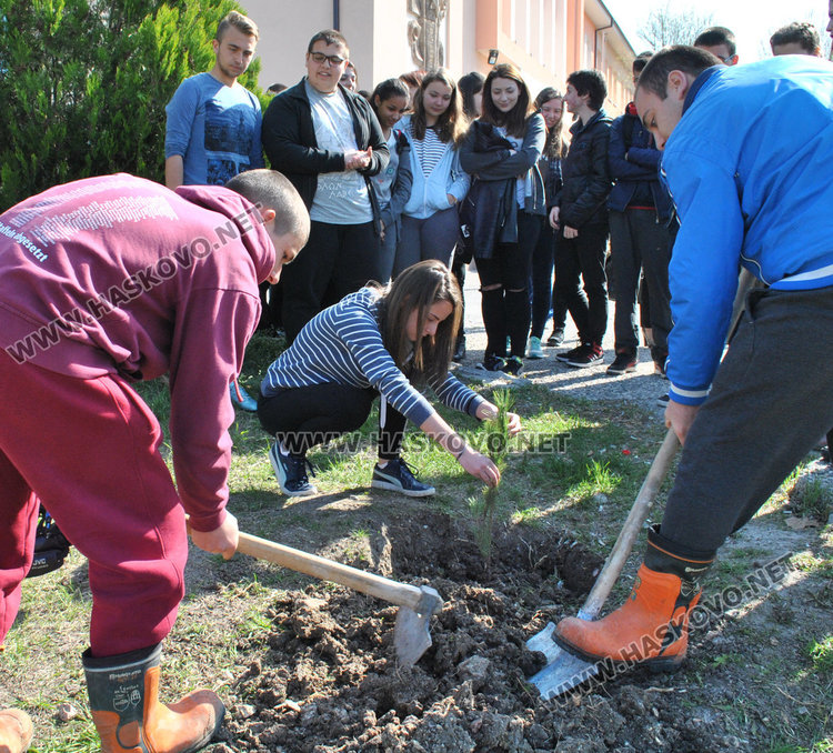 Млади лесовъди показаха на математиците как се сади борче