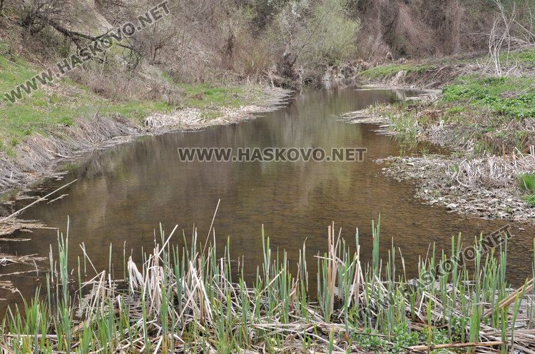 Злодей избива кучета в Книжовник, гърми в селото