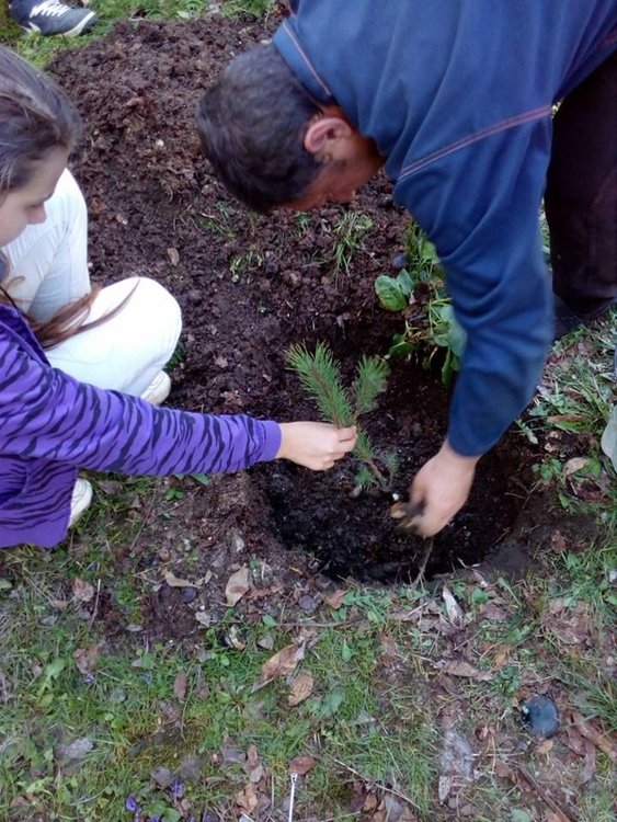 100 дръвчета засадиха ученици от село Крепост
