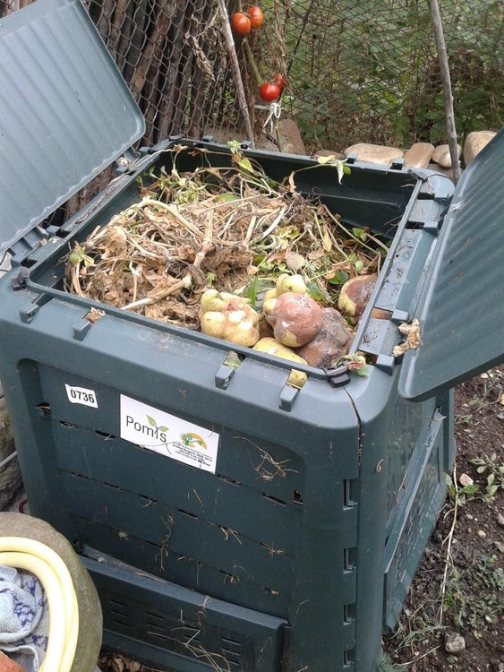 Безплатни компостери предоставя община Момчилград