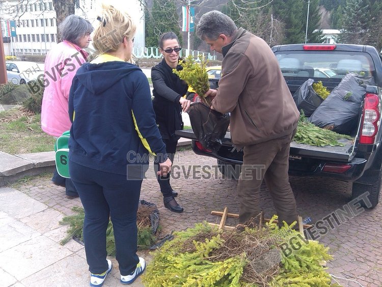 Над 3000 фиданки раздаде днес Южноцентралното горско предприятие в Смолян