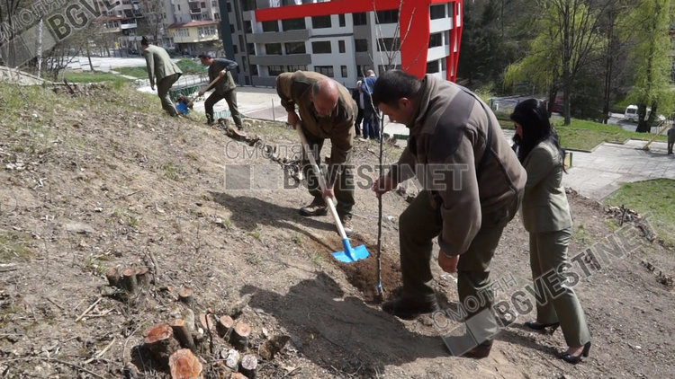 Обявяват лесовъд на годината от Смолянска област