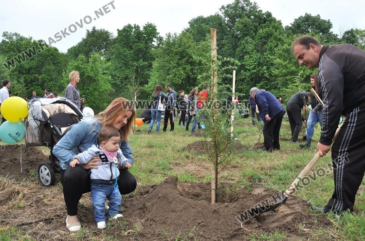 Кипарис засаждат младите семейства в Алеята на новия живот вече няколко години