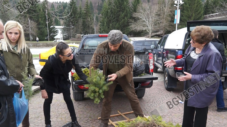 Над 3000 фиданки раздаде днес Южноцентралното горско предприятие в Смолян