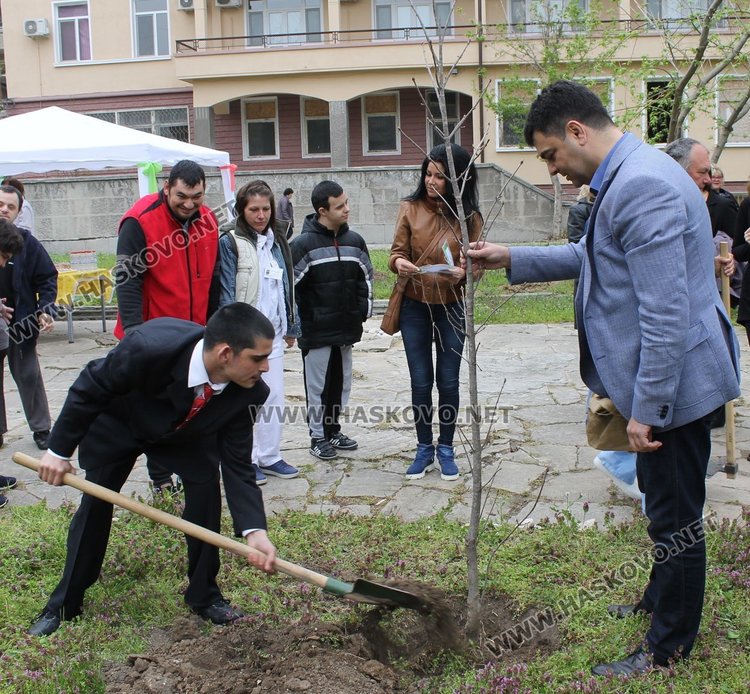 Потребителите на ДЦВУ помогнаха на кмета Иво Димов да засади дръвчето