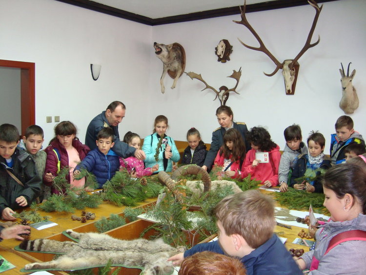 Ученици от Смолян се запознаха с грижата за българската гора