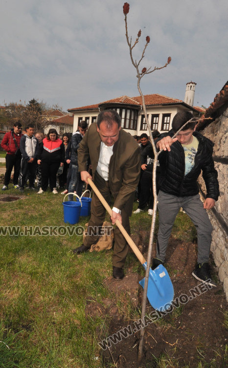 Паскалевци залесиха двора на възрожденската къща на патрона си