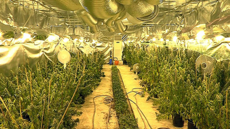 Снимката е илюстративна