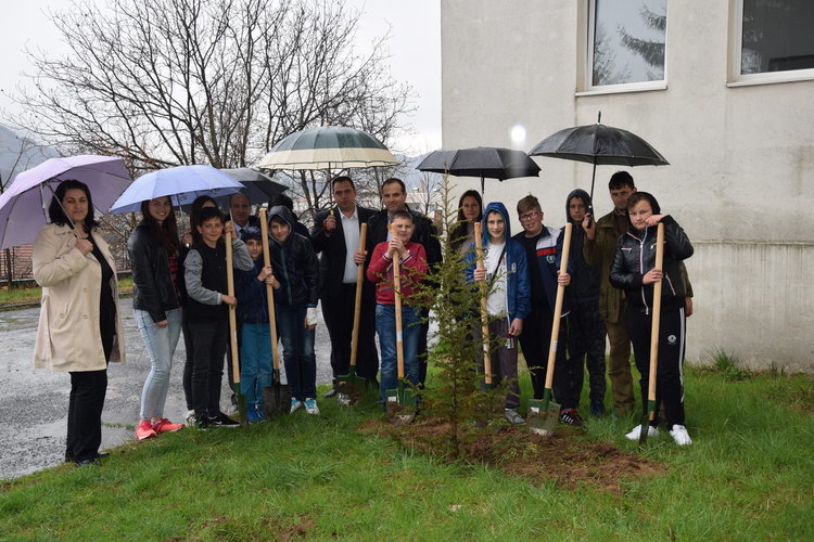 Смърчове, червен дъб и кедри засадиха в Ардино