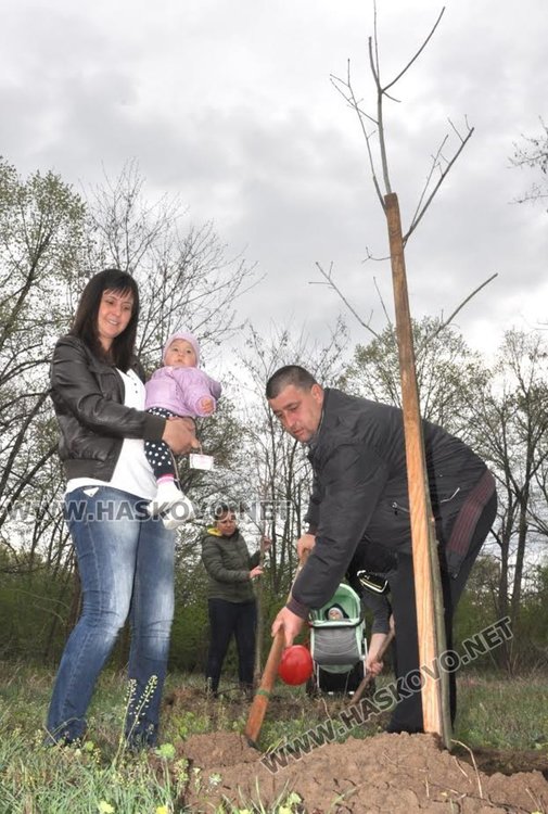 Засадиха червен дъб в Алеята на новия живот в парк "Марица"