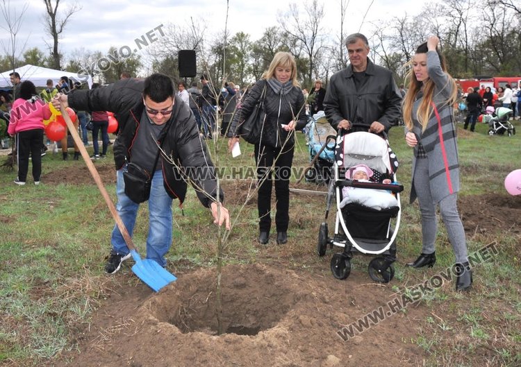 Засадиха червен дъб в Алеята на новия живот в парк "Марица"