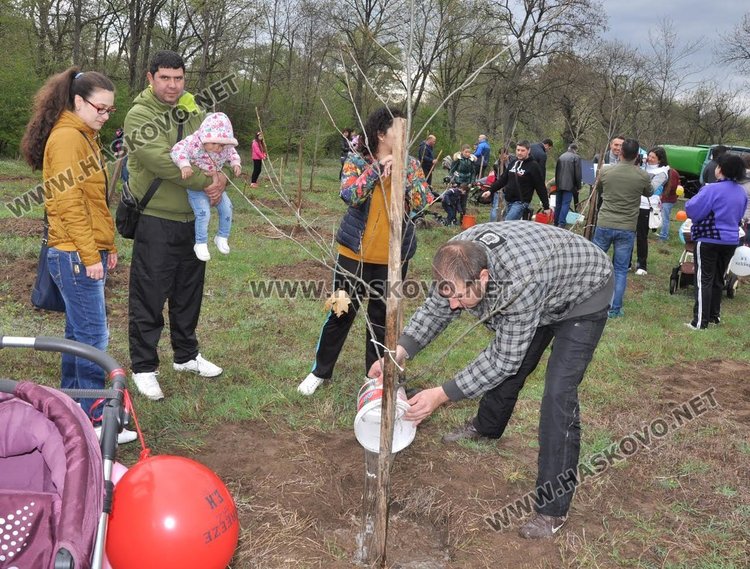 Засадиха червен дъб в Алеята на новия живот в парк "Марица"