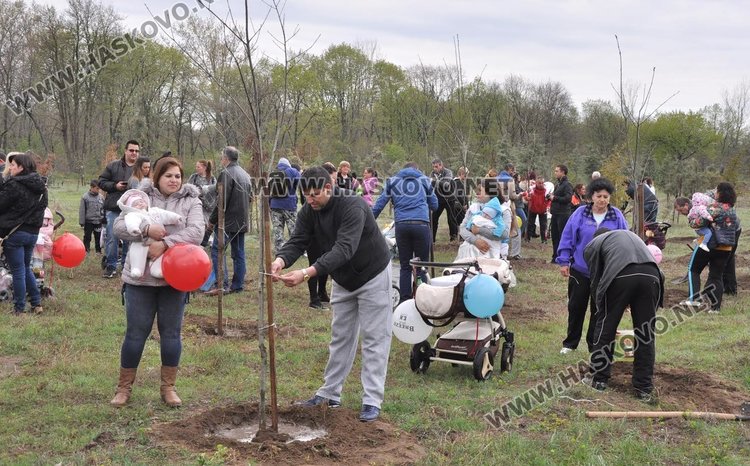 Засадиха червен дъб в Алеята на новия живот в парк "Марица"