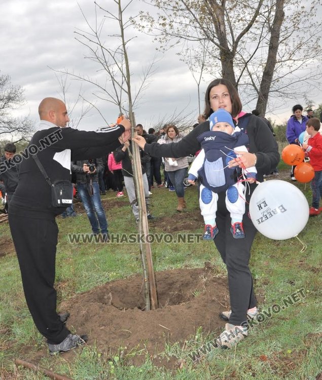 Засадиха червен дъб в Алеята на новия живот в парк "Марица"