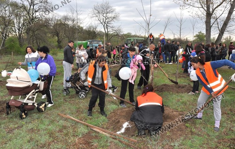 Засадиха червен дъб в Алеята на новия живот в парк "Марица"