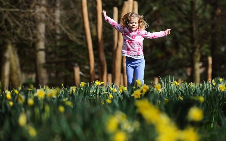 Без дъжд и до 20 градуса днес