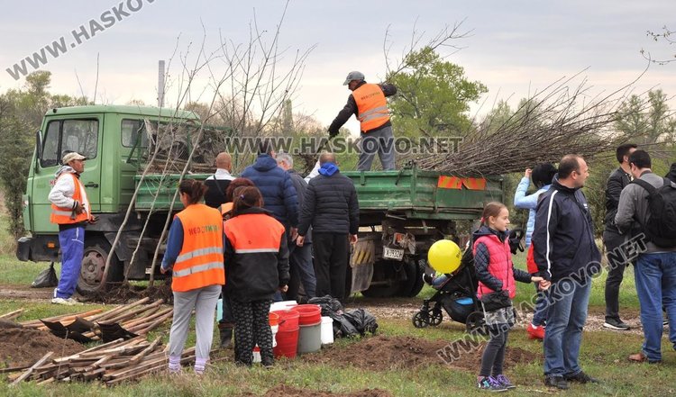 Засадиха червен дъб в Алеята на новия живот в парк "Марица"