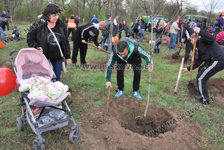 Засадиха червен дъб в Алеята на новия живот в парк "Марица"