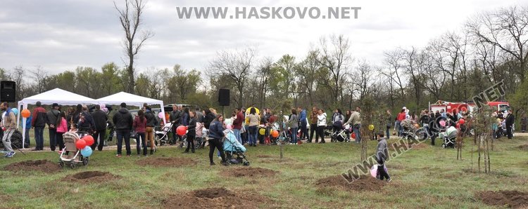 Засадиха червен дъб в Алеята на новия живот в парк "Марица"