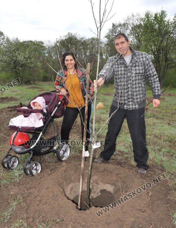 Засадиха червен дъб в Алеята на новия живот в парк "Марица"