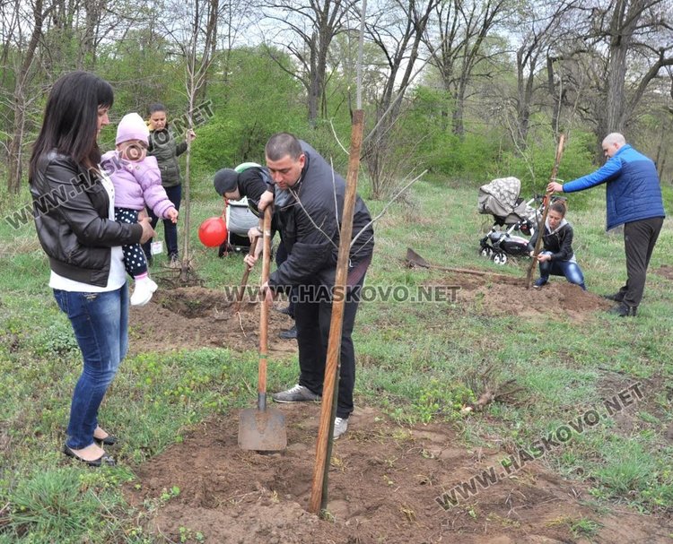 Засадиха червен дъб в Алеята на новия живот в парк "Марица"
