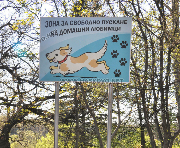 Ограждат две площадки за разходка на кучета, приютът готов