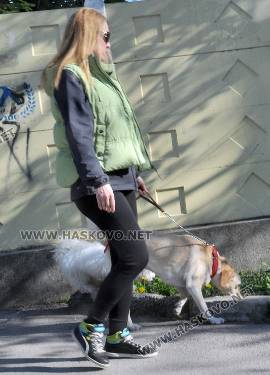 Ограждат две площадки за разходка на кучета, приютът готов