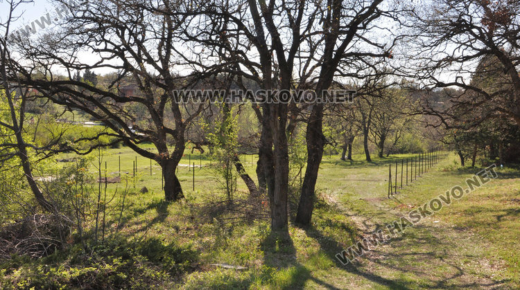 Ограждат две площадки за разходка на кучета, приютът готов