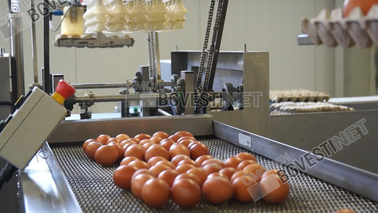 С около 25 процента са по-скъпи яйцата за Великден, търсенето не намалява