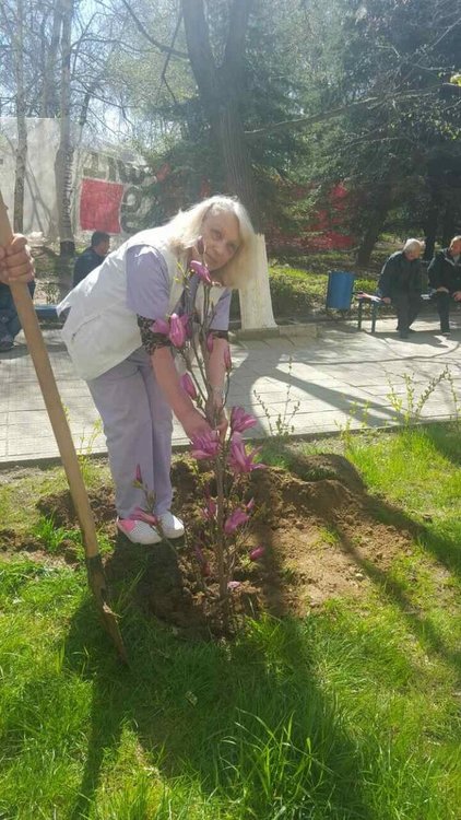 Богатство от фиданки засадиха в двора на болницата,нарекоха ги за здраве