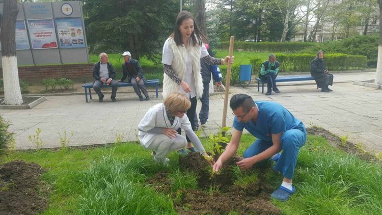 Богатство от фиданки засадиха в двора на болницата,нарекоха ги за здраве