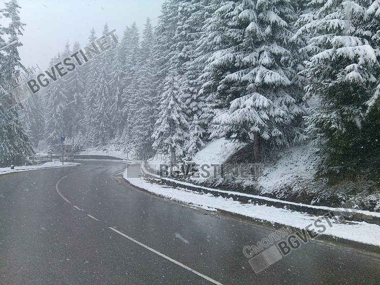 Априлски сняг на Пампорово, натрупа 2-3 сантиметра