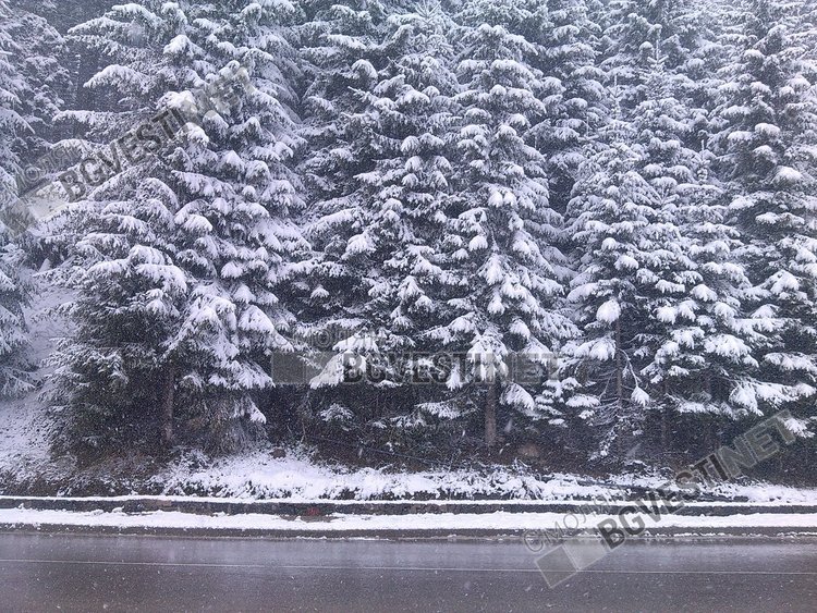 Априлски сняг на Пампорово, натрупа 2-3 сантиметра