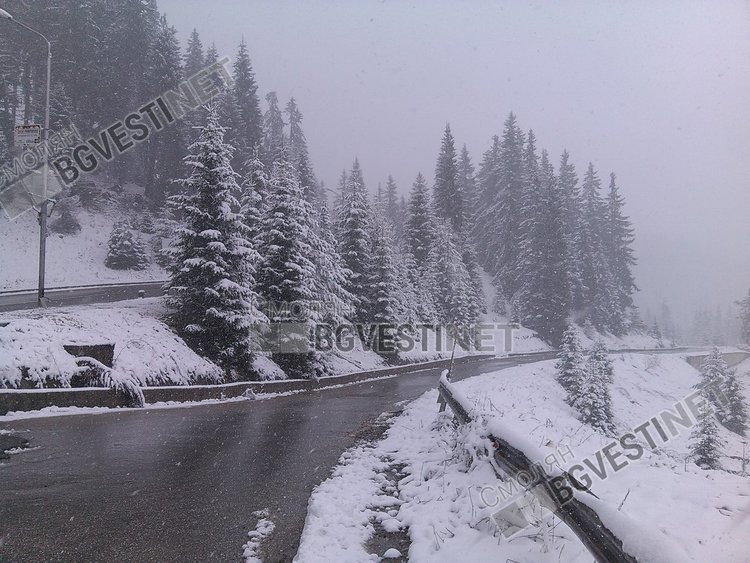 Априлски сняг на Пампорово, натрупа 2-3 сантиметра