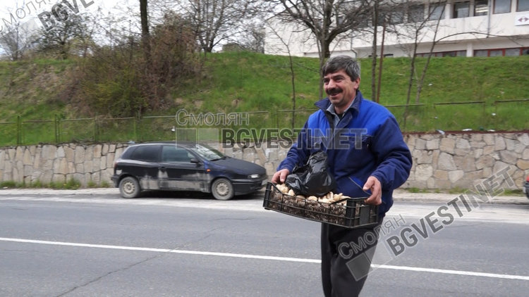 Рекордни цени за гъбите в Смолян, удариха 50 лева