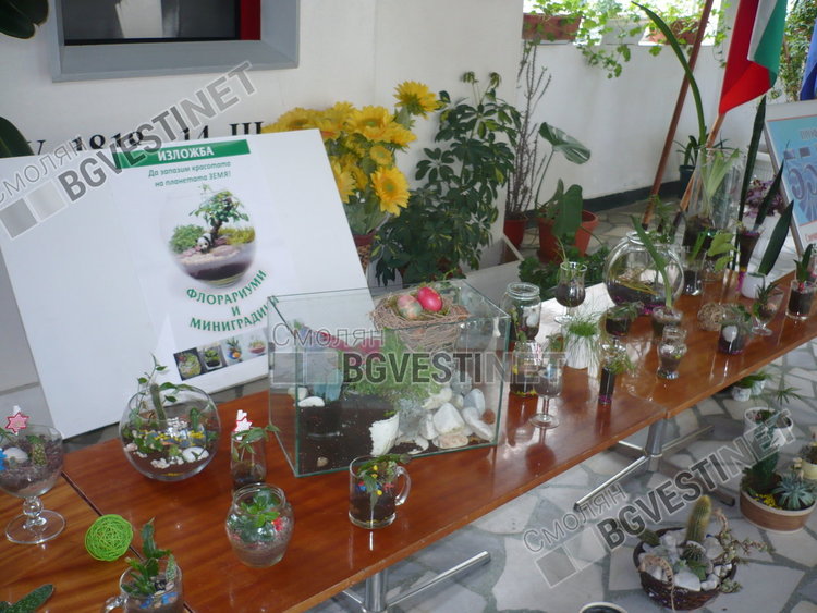 Ученици сътвориха миниградини и флорариуми за Деня на Земята